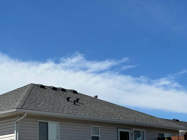 Professional Roof Repair & Installaion in Milaca, MN